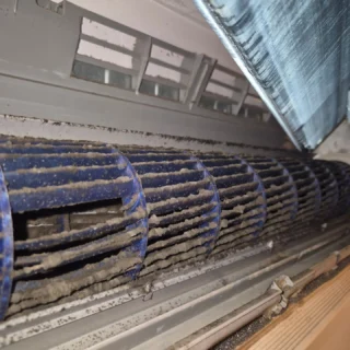 Before and after some teco splits